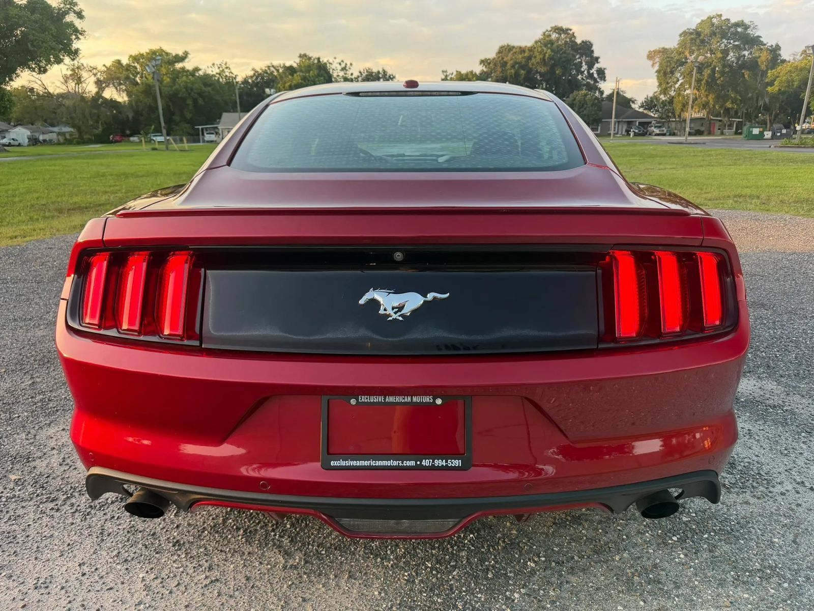 Used 2016 Ford Mustang Premium w/ Equipment Group 201A RWD image 6