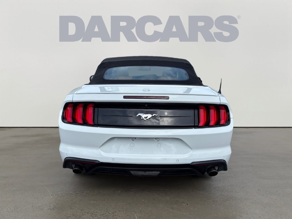 Used 2019 Ford Mustang Premium RWD image 6