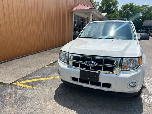 Used 2010 Ford Escape XLT AWD/4WD image 3