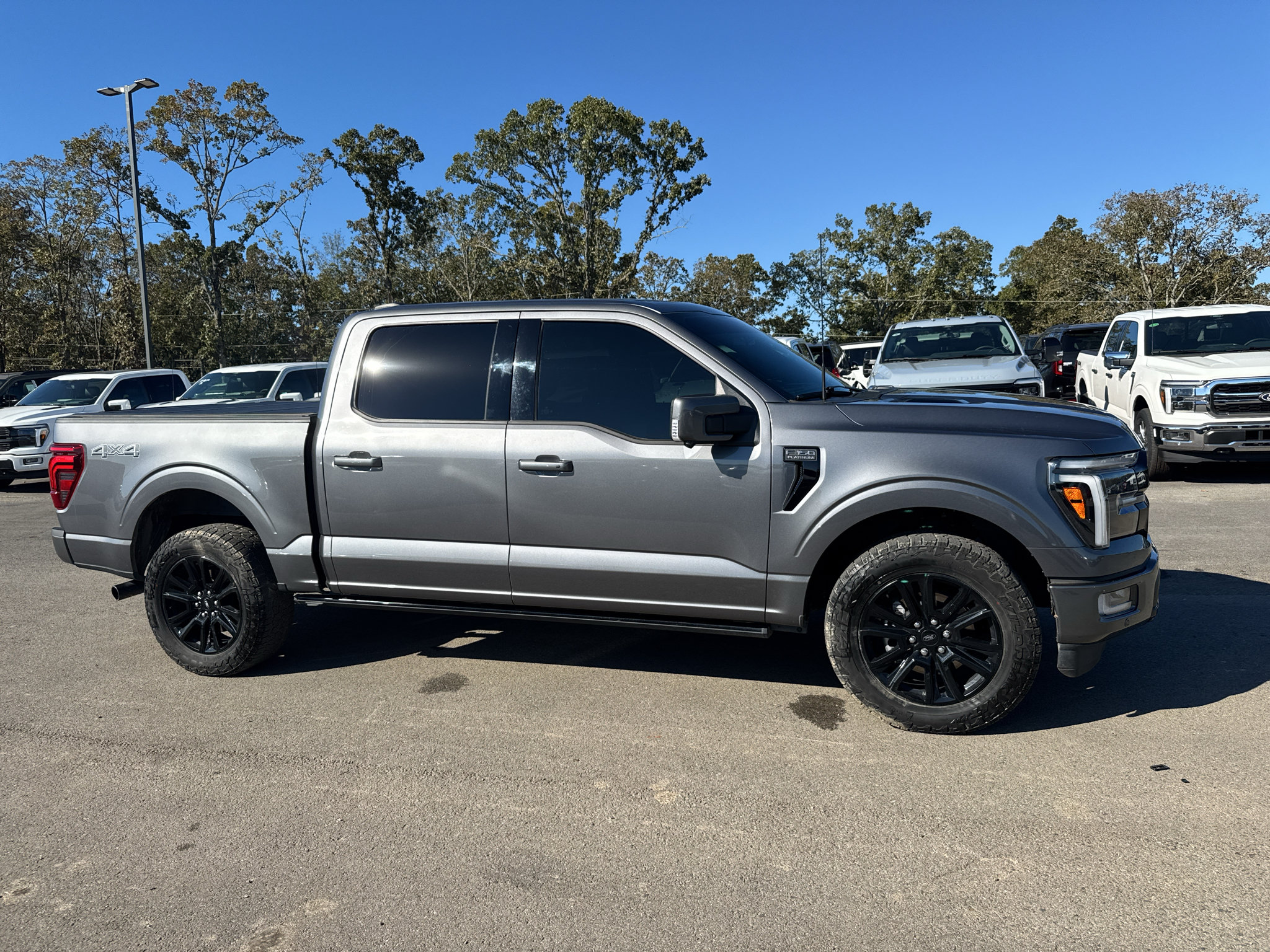 Used 2024 Ford F150 Platinum AWD/4WD image 5