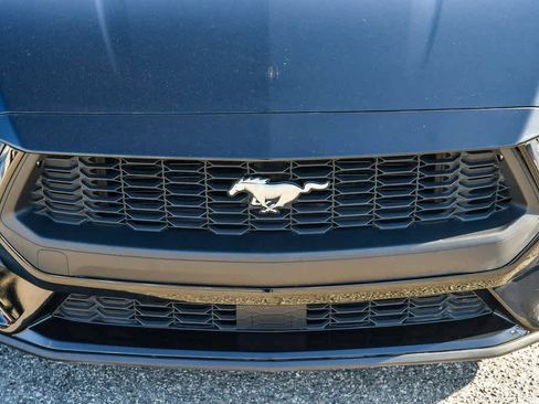 Used 2024 Ford Mustang Premium image 5