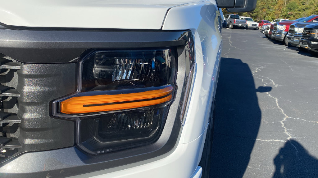 New 2026 Ford F150 STX w/ Equipment Group 200A RWD image 9