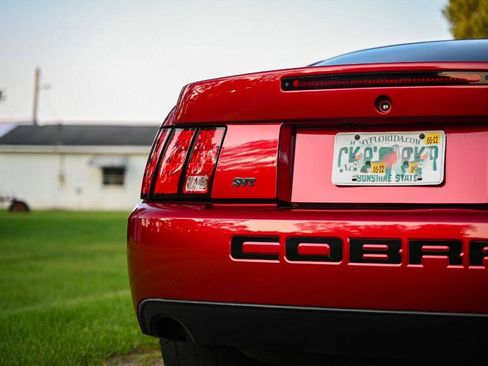 Used 2003 Ford Mustang Cobra RWD image 61