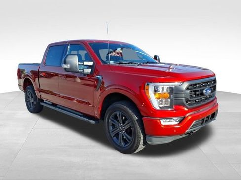 Used 2023 Ford F150 XLT w/ Equipment Group 302A High AWD/4WD image 14
