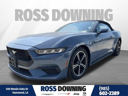 Used 2024 Ford Mustang Premium RWD image 1