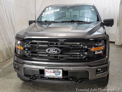 Used 2025 Ford F150 XLT w/ Equipment Group 303A High AWD/4WD image 5