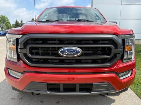 Used 2023 Ford F150 XLT w/ Equipment Group 302A High AWD/4WD image 7
