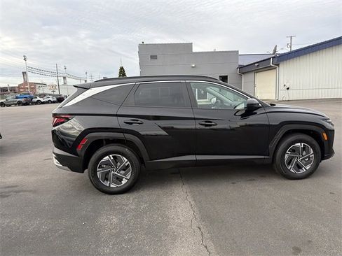 Used 2025 Hyundai Tucson Blue image 3