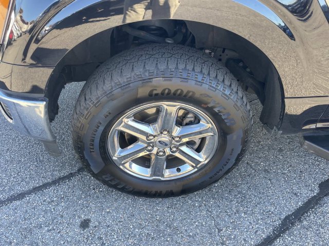 Used 2025 Ford F150 XLT w/ Equipment Group 301A Standard AWD/4WD image 12