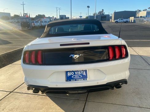 Used 2023 Ford Mustang Premium image 6