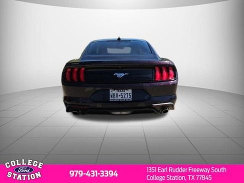 Used 2023 Ford Mustang EcoBoost w/ Equipment Group 101A image 5