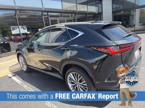 Used 2025 Lexus NX 350h AWD w/ Cold Area Package image 5