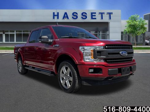 Used 2019 Ford F150 XLT w/ Equipment Group 302A Luxury AWD/4WD image 1