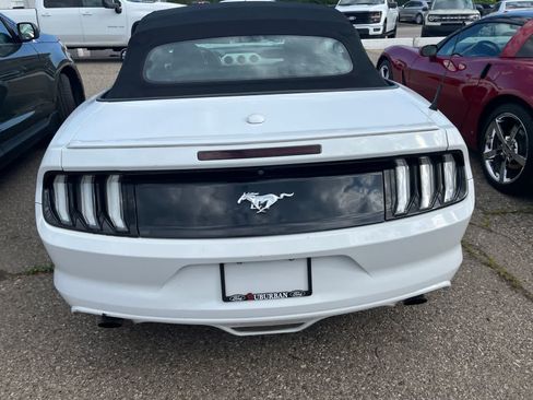Used 2017 Ford Mustang Premium RWD image 14