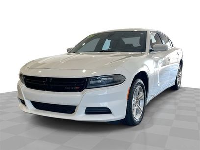 Used 2019 Dodge Charger SXT