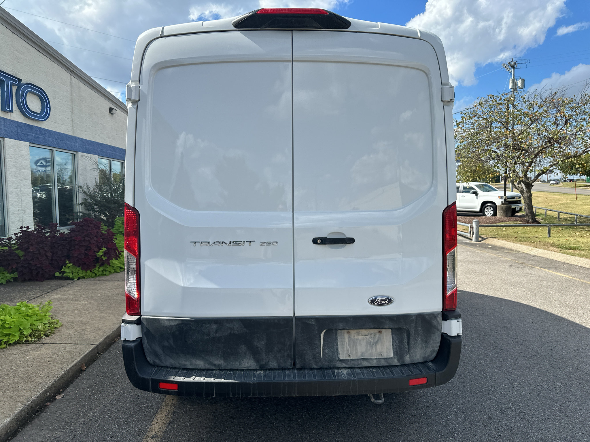 Used 2025 Ford Transit 250 148 Medium Roof RWD image 5