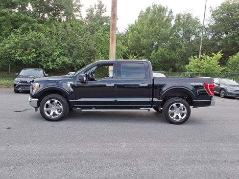 Used 2023 Ford F150 XLT w/ Equipment Group 302A High AWD/4WD image 6