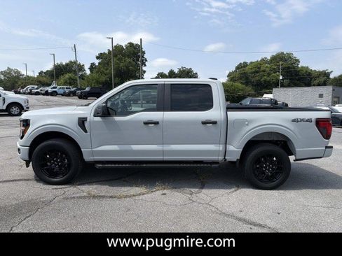 Used 2024 Ford F150 STX w/ STX Black Appearance Package AWD/4WD image 4