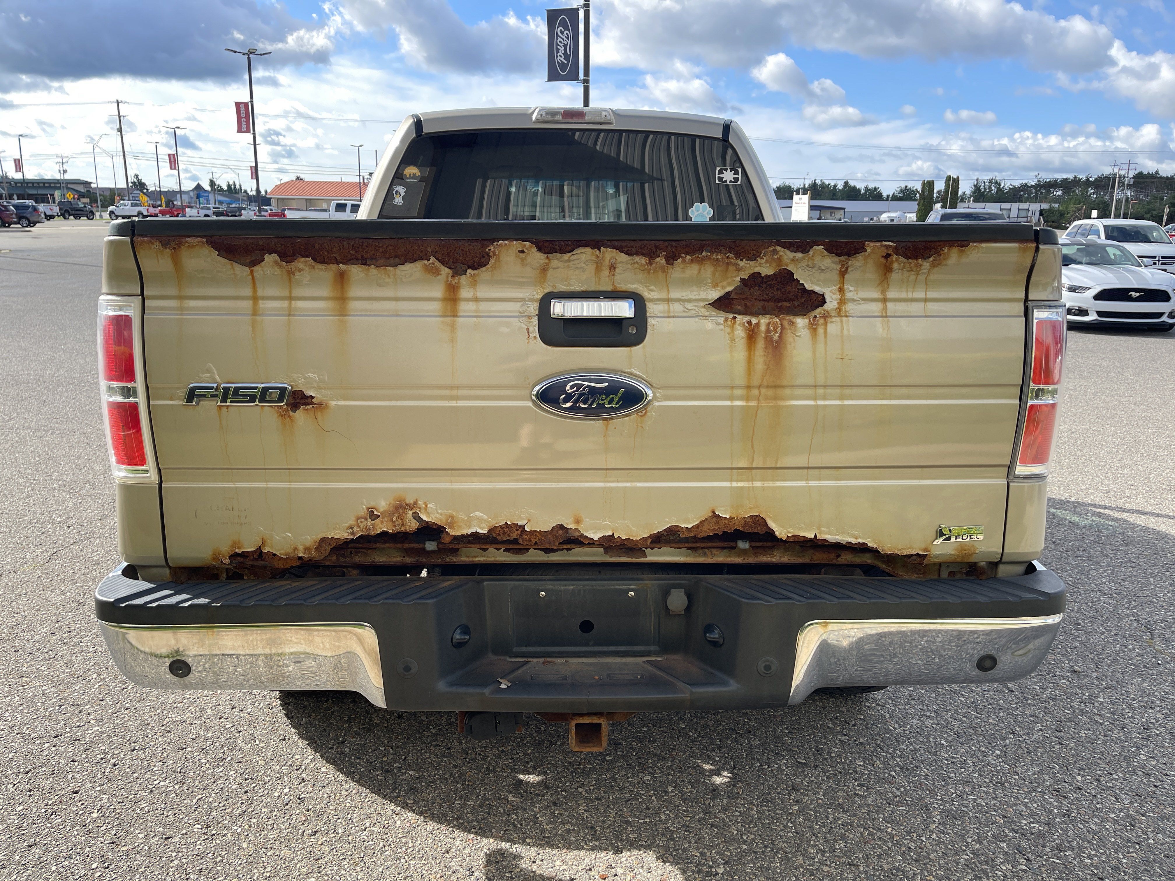 Used 2010 Ford F150 XLT AWD/4WD image 5