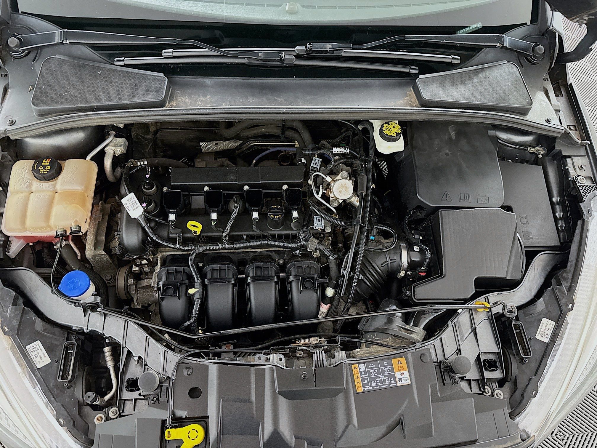 Used 2017 Ford Focus SE FWD image 19