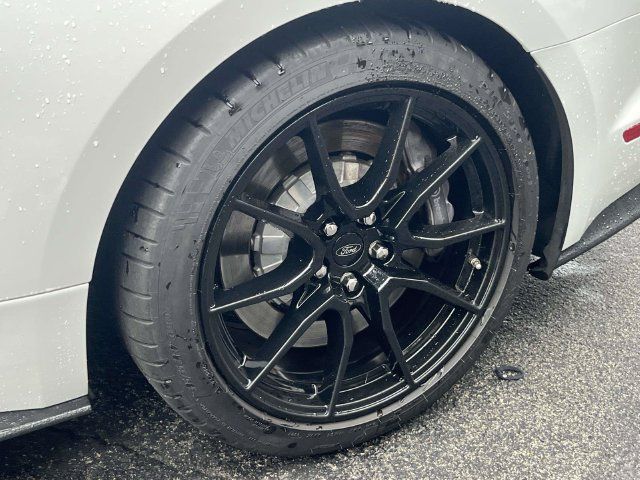 Used 2019 Ford Mustang Shelby GT350 w/ Technology Package RWD image 12