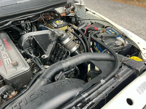 Used 1997 Dodge Ram 2500 Truck 4x4 Regular Cab image 57