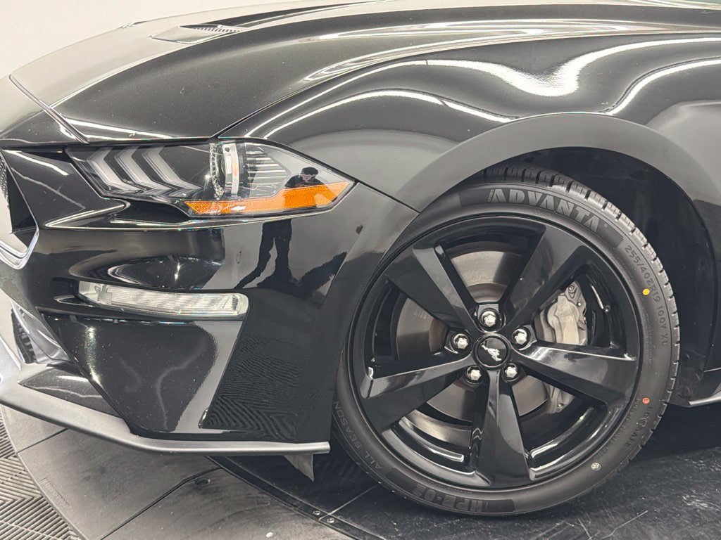 Used 2021 Ford Mustang GT Premium w/ Equipment Group 401A RWD image 5