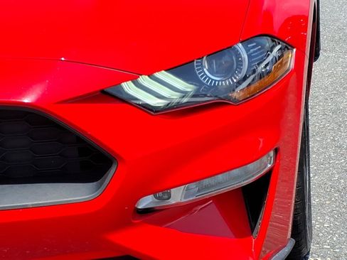 Used 2019 Ford Mustang Premium RWD image 15