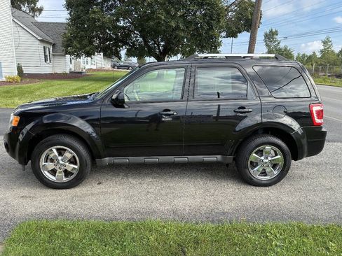 Used 2011 Ford Escape Limited w/ 302A Rapid Spec Order Code AWD/4WD image 3