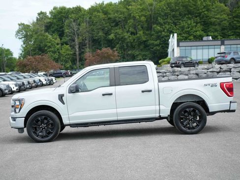 Used 2023 Ford F150 XL w/ STX Black Appearance Package AWD/4WD image 8