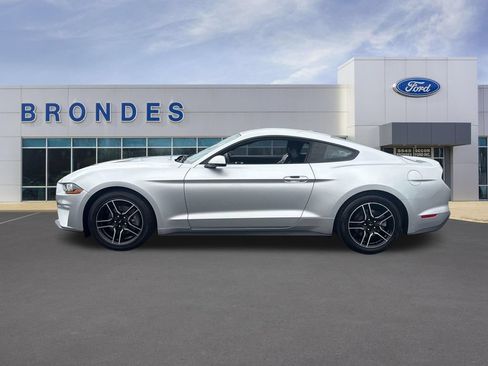 Used 2019 Ford Mustang Premium w/ Equipment Group 201A RWD image 1