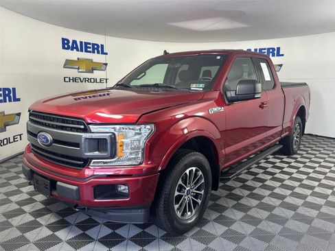Used 2019 Ford F150 XLT w/ Equipment Group 302A Luxury AWD/4WD image 1