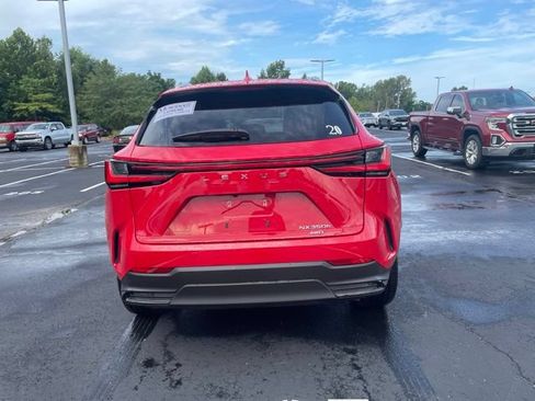 Used 2025 Lexus NX 350h AWD w/ Cold Area Package image 4