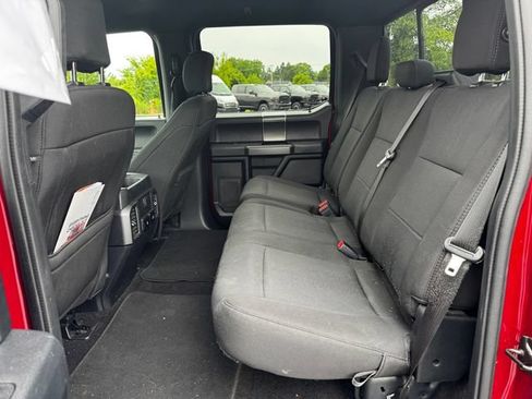 Used 2019 Ford F150 XLT w/ Equipment Group 302A Luxury AWD/4WD image 19