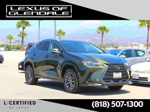 Certified 2025 Lexus NX 350h AWD w/ Cold Area Package image 1