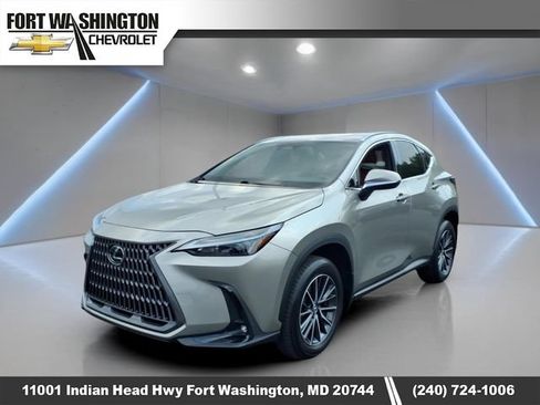 Used 2024 Lexus NX 350 AWD w/ Cold Area Package image 8