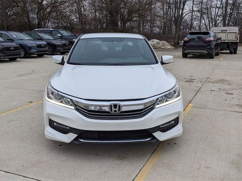 Used 2017 Honda Accord Sport Special Edition image 8