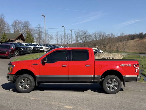 Used 2019 Ford F150 XLT w/ Equipment Group 302A Luxury image 4