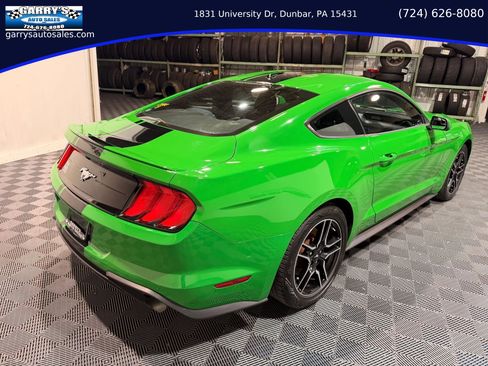 Used 2019 Ford Mustang Coupe w/ Equipment Group 101A image 5