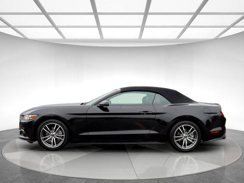 Used 2015 Ford Mustang Premium image 5