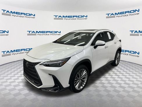Used 2025 Lexus NX 350h AWD w/ Cold Area Package image 1