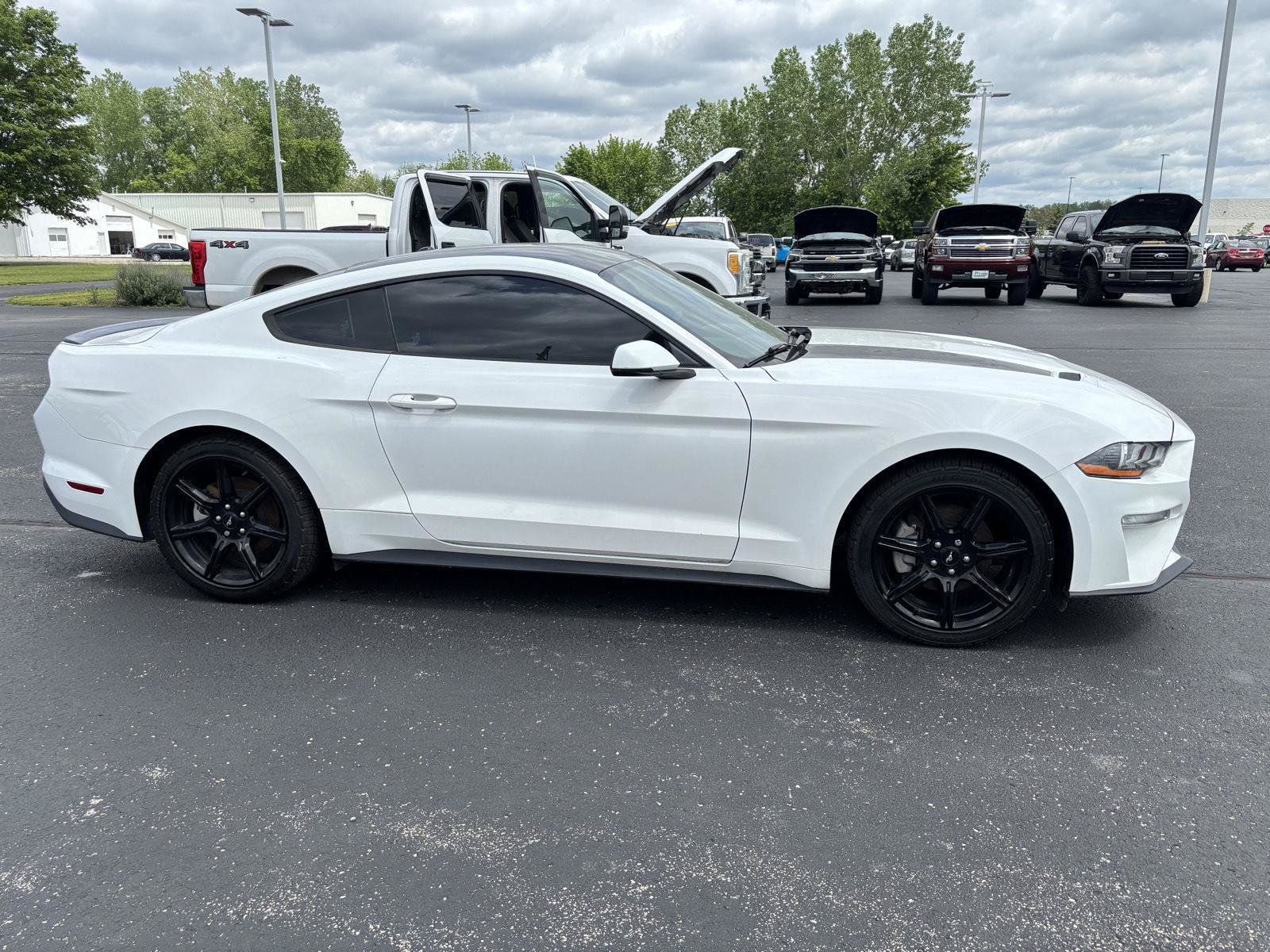 Used 2019 Ford Mustang Premium w/ Black Accent Package RWD image 5