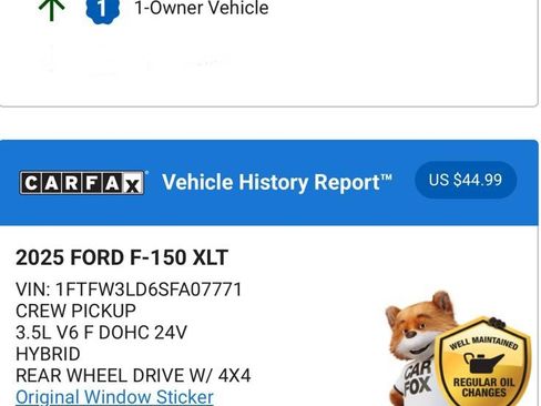 Used 2025 Ford F150 XLT w/ Equipment Group 303A High image 4