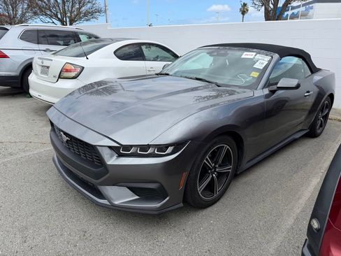 Used 2024 Ford Mustang Premium RWD image 1