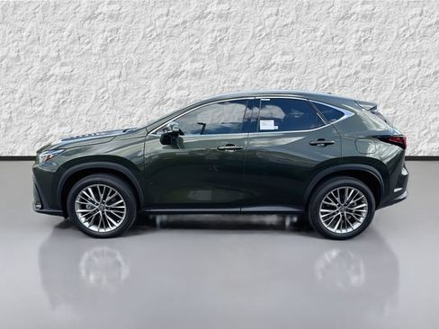 New 2026 Lexus NX 350 AWD w/ Cold Area Package image 6