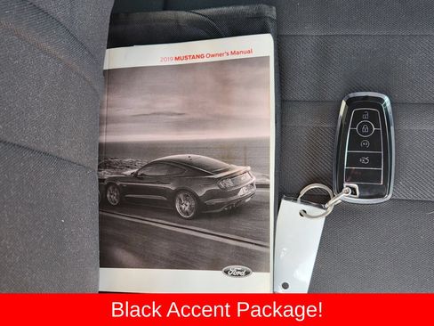Used 2019 Ford Mustang Coupe w/ Black Accent Package RWD image 41