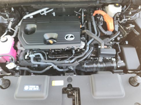 Certified 2025 Lexus NX 350h AWD w/ Cold Area Package image 21