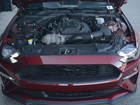 Used 2019 Ford Mustang Premium w/ Ford Safe & Smart Package RWD image 32