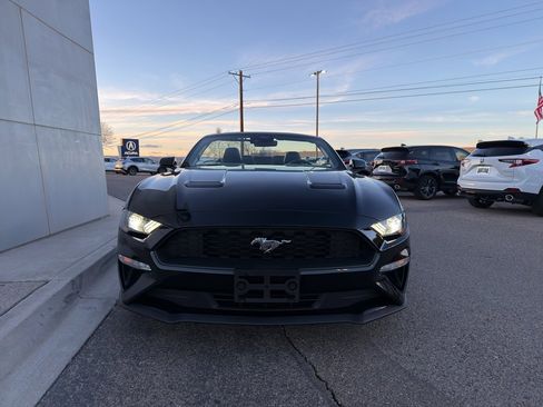 Used 2023 Ford Mustang Premium w/ Equipment Group 201A image 4