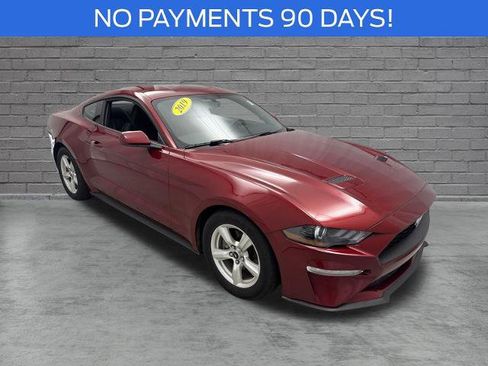 Certified 2019 Ford Mustang Coupe RWD image 1